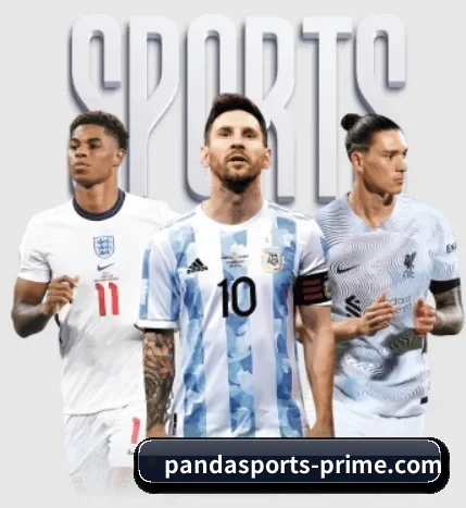 了解平台 - 体育资讯内容服务(Panda Sports)