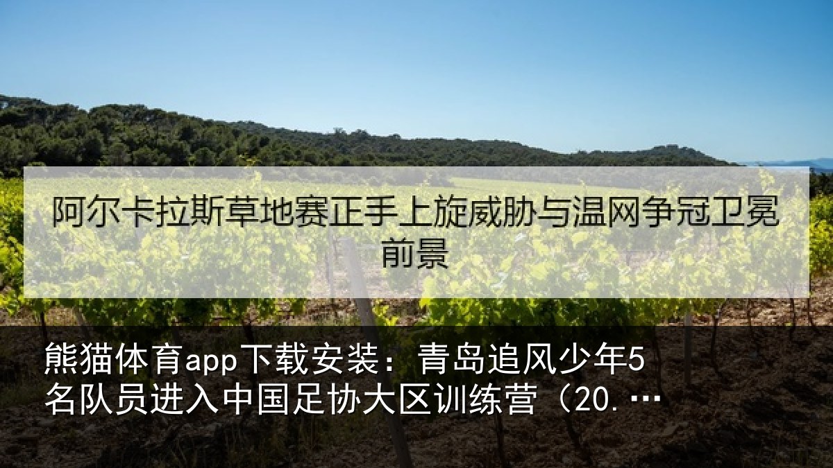 熊猫体育app下载安装：青岛相关情况入中相关情况（20...
