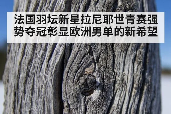 法国羽坛新星拉尼耶世青赛强势夺冠彰显欧洲男单的新希望