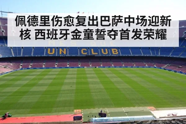 Camp Nou stadium pitch